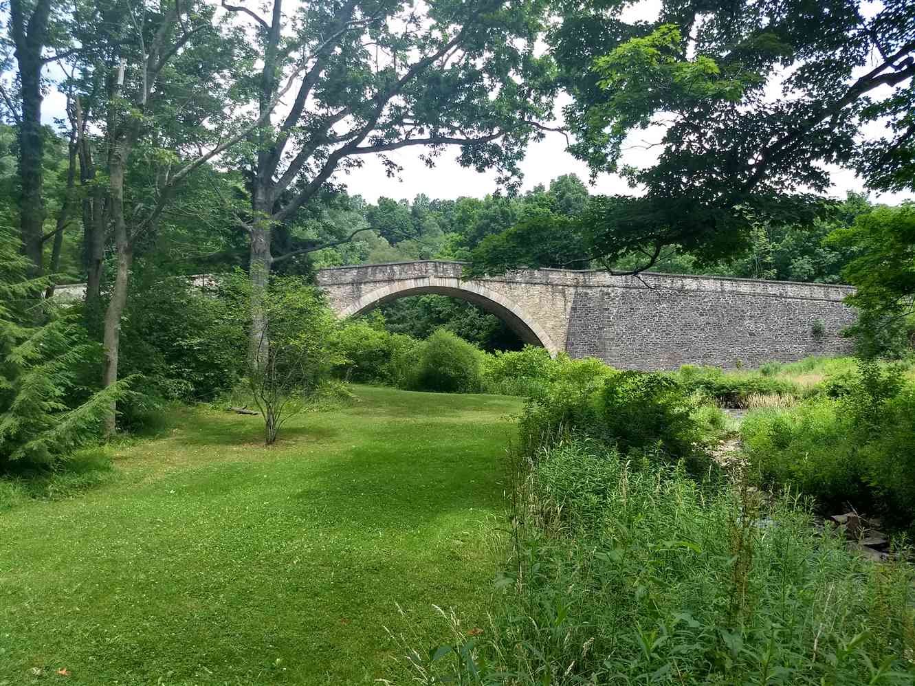 Estate & Business Attorney, Rogyom Law, Towson Hagerstown MD